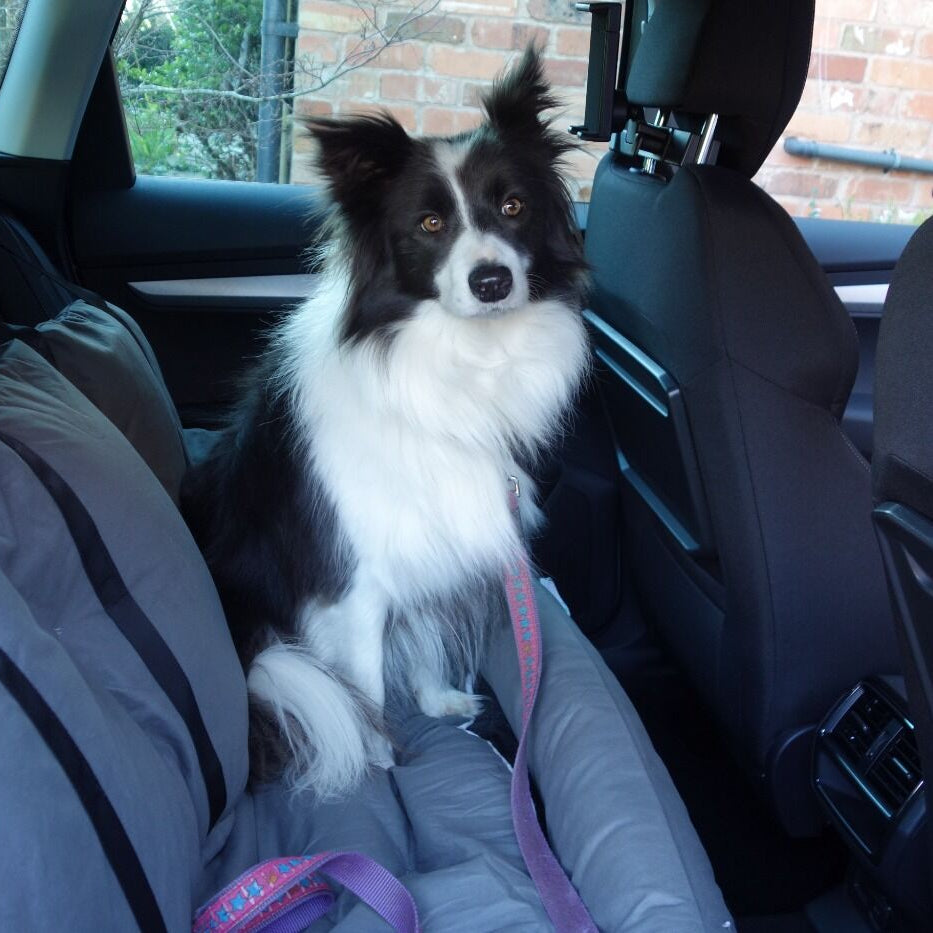 Fluff Dog Car Seat