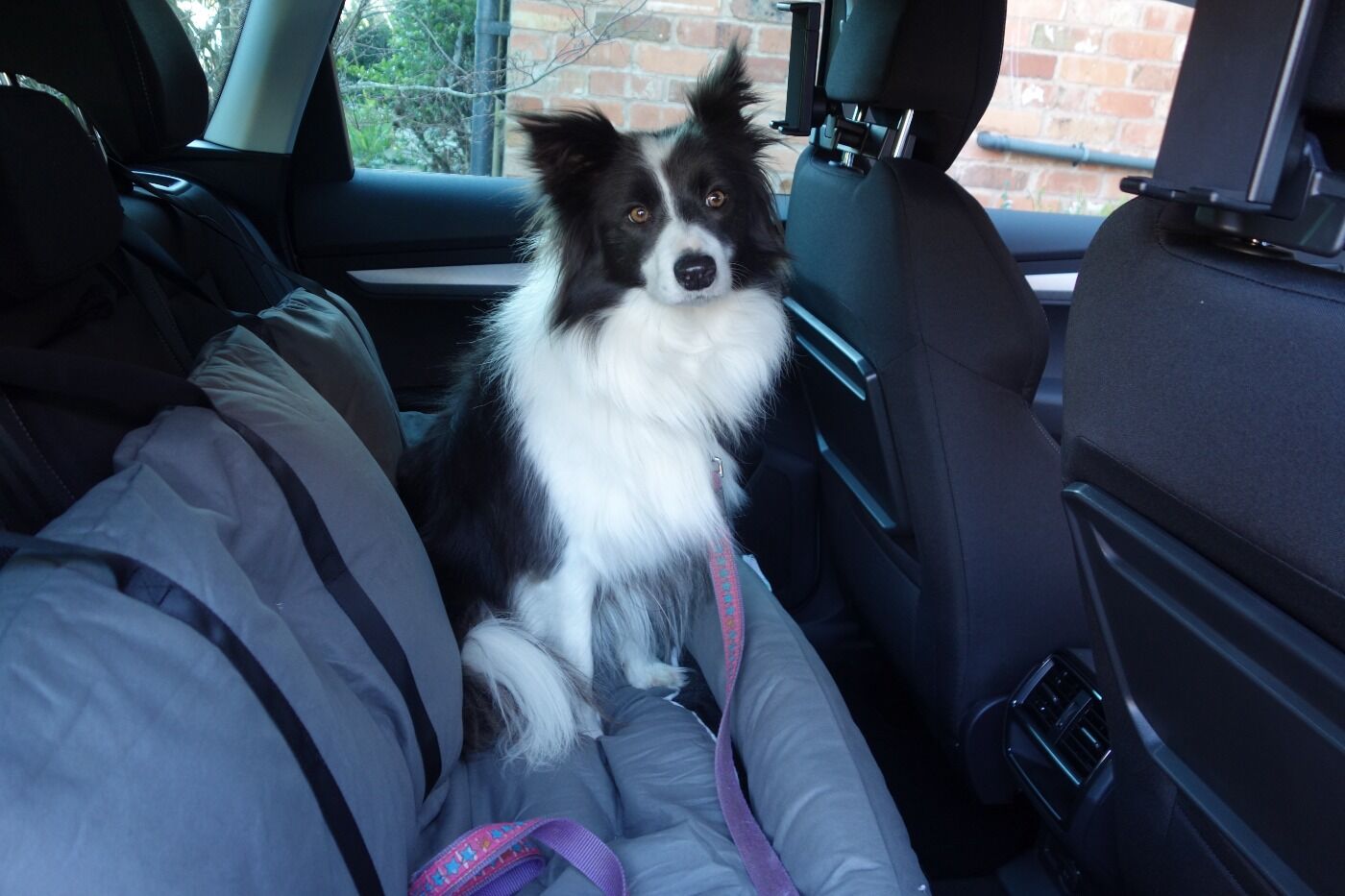Fluff Dog Car Seat