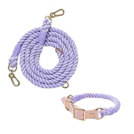 Versatile Hands-Free Dog Walking Kit Lead & Collar Purple