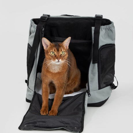 UrbanTrail Multifunctional Pet Front Carrier Bag with cat inside, ideal for safe pet travel