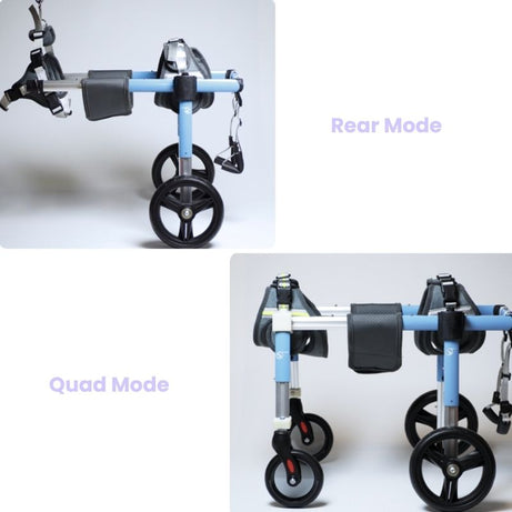 OmniStep Modular Rear & Full Support Dog Wheelchair with blue frame, black wheels, and gray padding, showing Rear Mode and Quad Mode configurations.