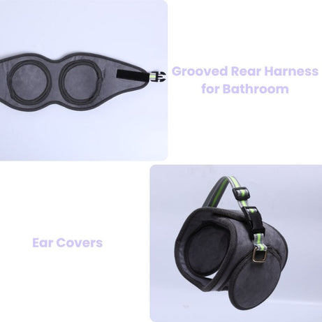 Julibee's OmniStep modular rear support dog wheelchair with grooved harness