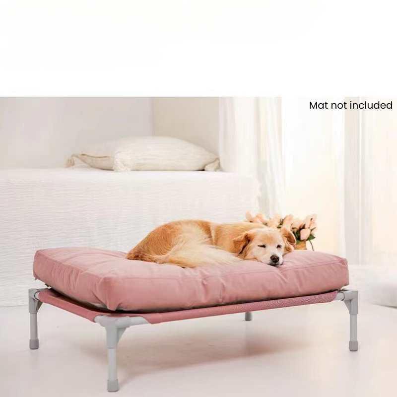 Vibrant Elevated Dog Bed