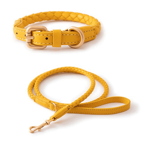 Premium Handcrafted Leather Dog Collar Kit Chrome Yellow