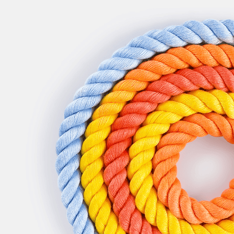 Versatile Hands-Free Dog Walking Kit