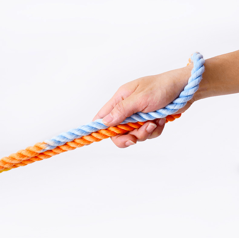 Hand holding leash deals