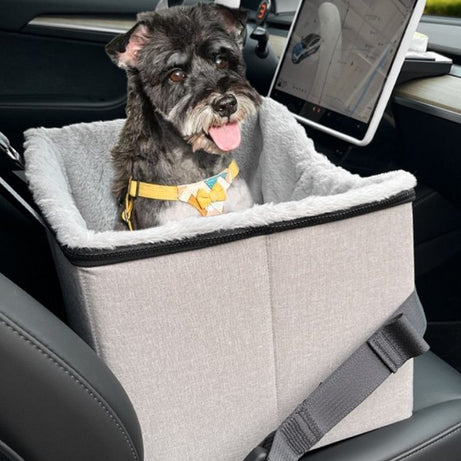 Q-Safe Dog Car Booster for Small Dogs