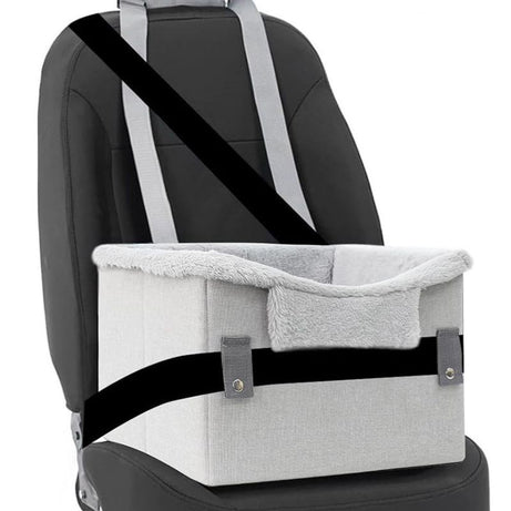 Q-Safe Dog Car Booster for Small Dogs