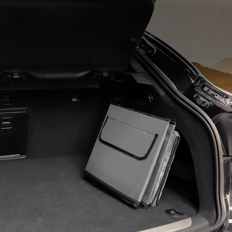 Q-Safe Dog Car Booster for Small Dogs