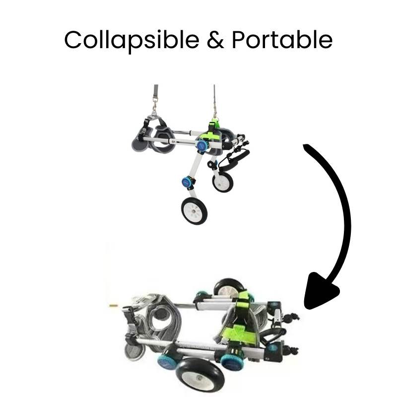 QuickFit Folding Rear Dog Wheelchair