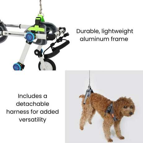 QuickFit Folding Rear Dog Wheelchair