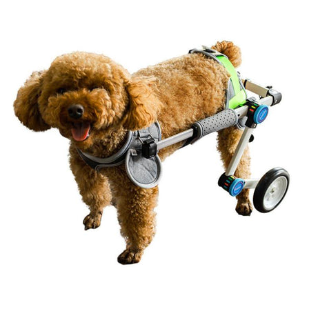 QuickFit Folding Rear Dog Wheelchair XS(Teddy Westie)