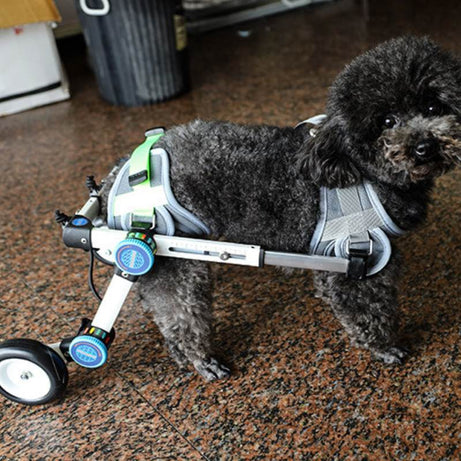 QuickFit Folding Rear Dog Wheelchair