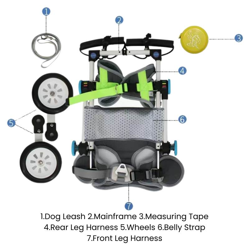 QuickFit Folding Rear Dog Wheelchair