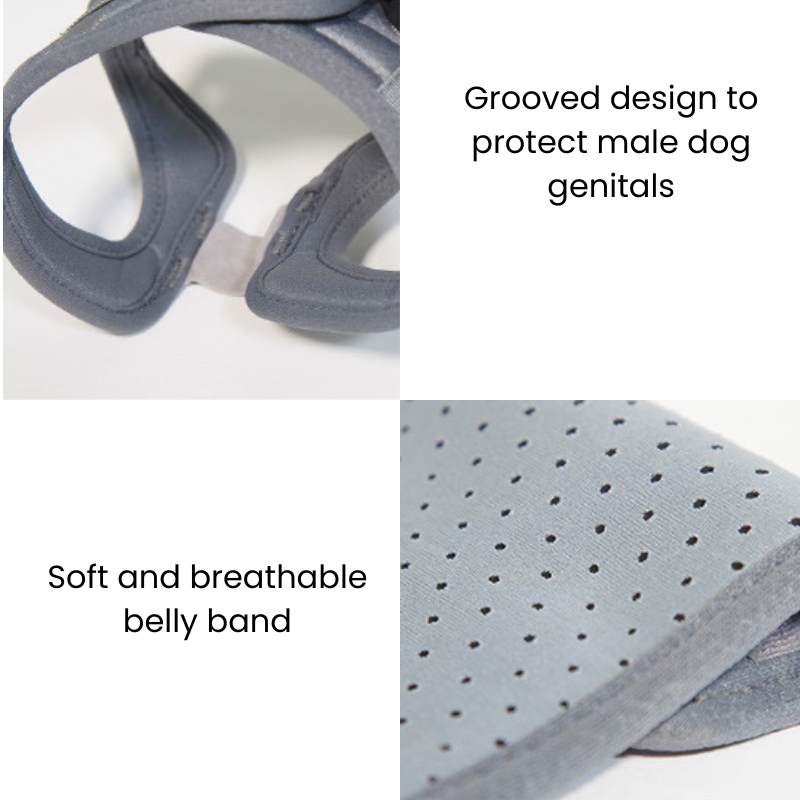 QuickFit Folding Rear Dog Wheelchair