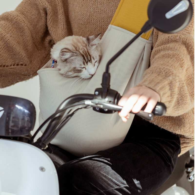 Superlight Pet Sling Carrier Bag