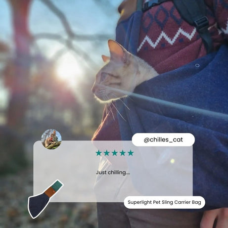 Superlight Pet Sling Carrier Bag