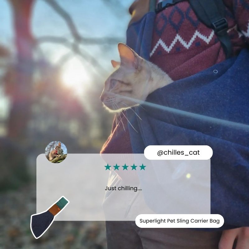 Superlight Pet Sling Carrier Bag