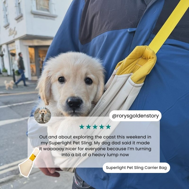 Superlight Pet Sling Carrier Bag