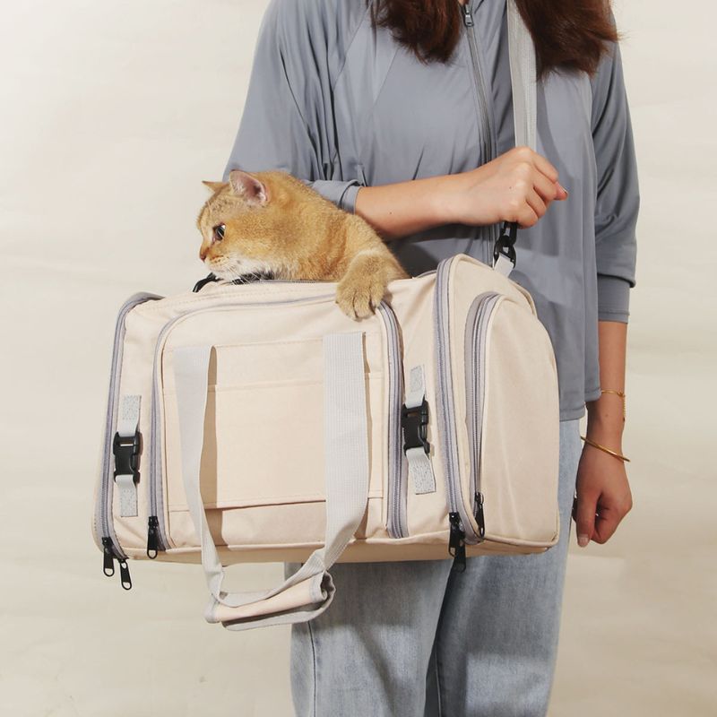 Traveler Expandable Pet Carrier Bag - Air Approved