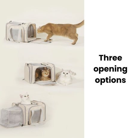 Traveler Expandable Pet Carrier Bag - Air Approved with three opening options, cats entering and using the carrier.