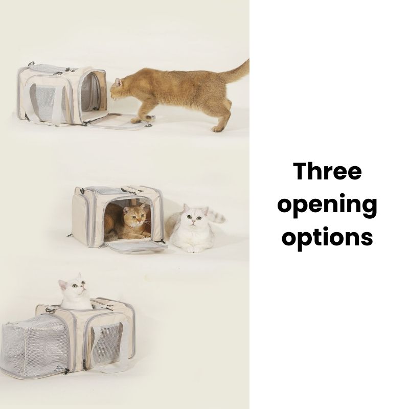 Traveler Expandable Pet Carrier Bag - Air Approved with three opening options, cats entering and using the carrier.