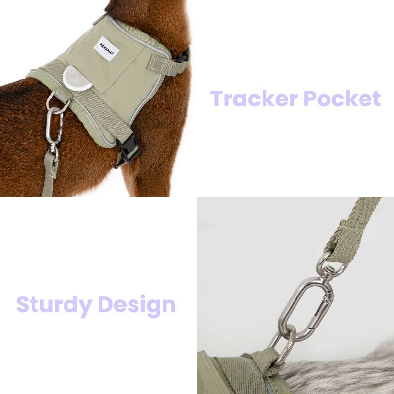 VestFit Cat Walking Kit (Tracker pocket & Leash Included)