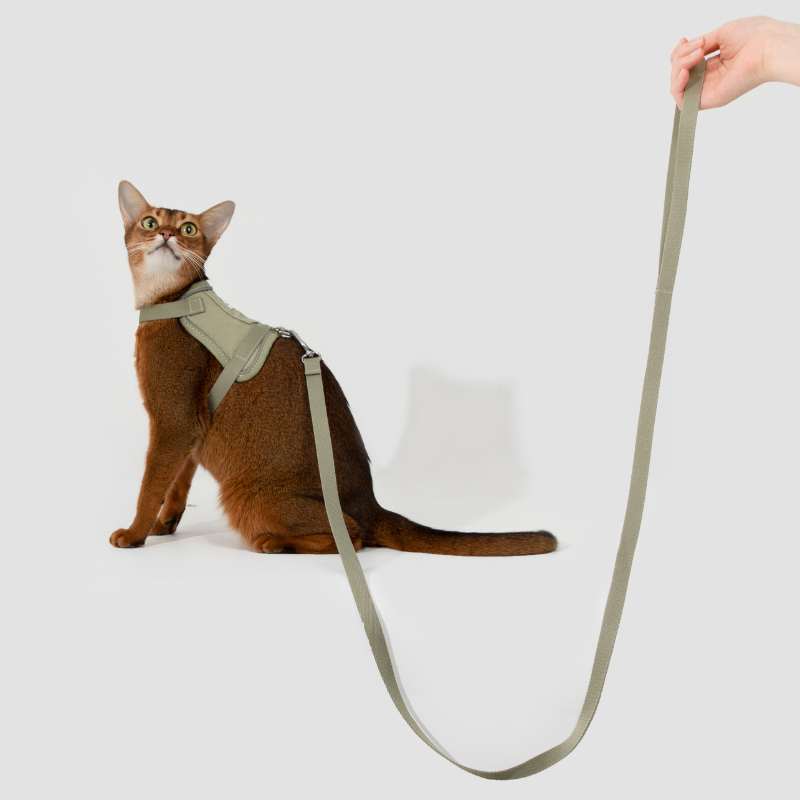 VestFit Cat Walking Kit (Tracker pocket & Leash Included) Avocado
