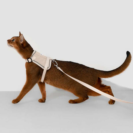 VestFit Cat Walking Kit (Tracker pocket & Leash Included) Almond