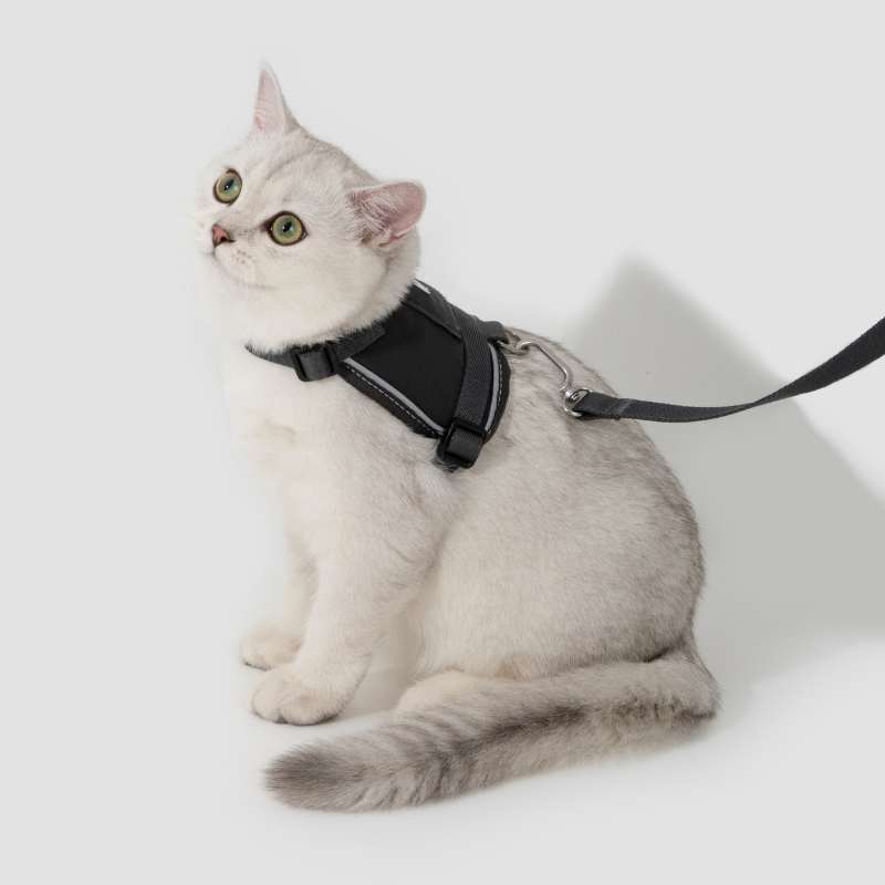 VestFit Cat Walking Kit (Tracker pocket & Leash Included) Black