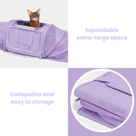 Vetreska Expandable Violet Pet Carrier Bag with cat, expandable extra-large space, collapsible for easy storage