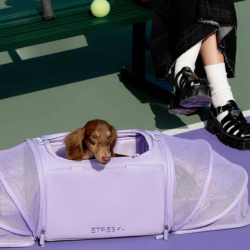 Vetreska expandable violet pet carrier bag with dog inside, comfortable and safe for travel.