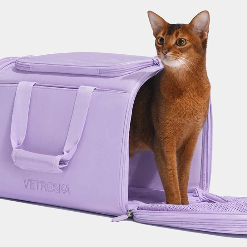 Vetreska Expandable Violet Pet Carrier Bag