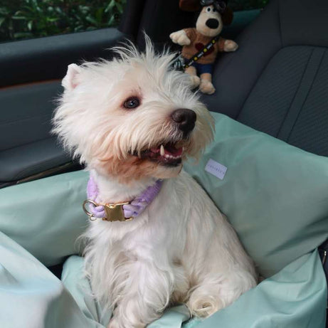 Vibrant Waterproof Large Dog Car Seat