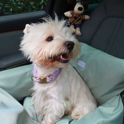 vibrant-dog-car-seat-julibee's