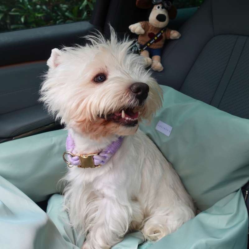 Vibrant Waterproof Large Dog Car Seat