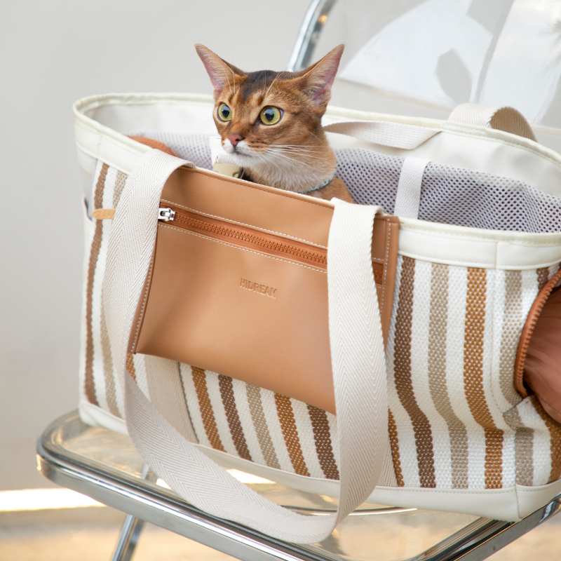 Vintage Travel Pet Carrier Bag