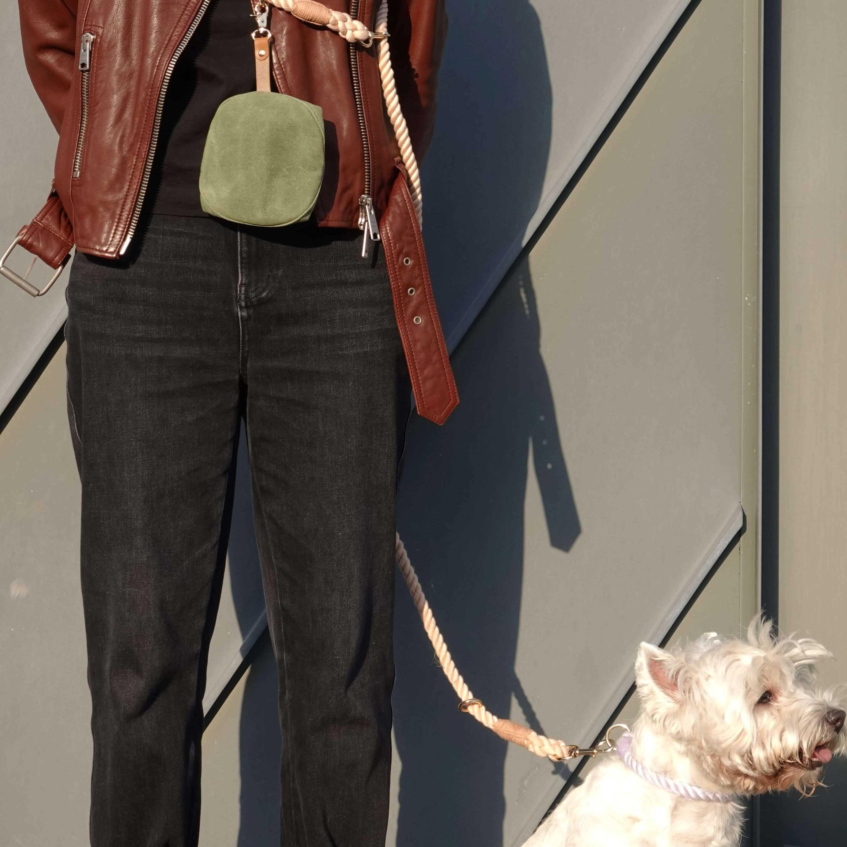 Versatile Hands-Free Dog Walking Kit