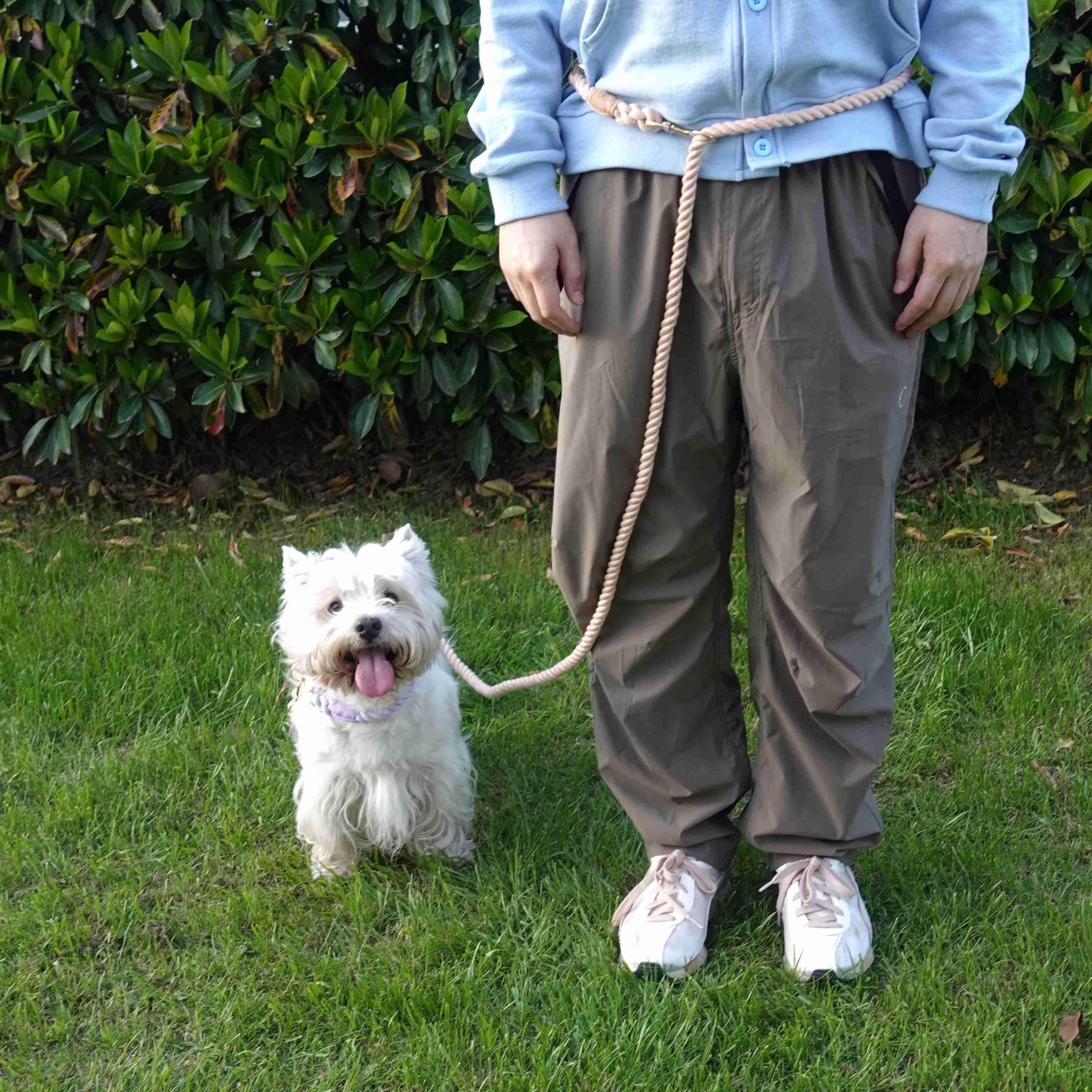 Versatile Hands-Free Dog Walking Kit