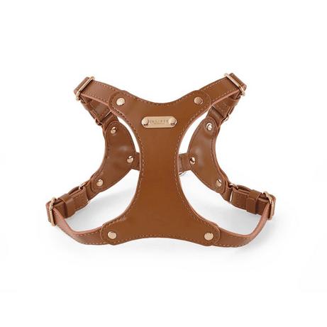 Hoop Vegan Leather Dog Harness Kit Harness Brown