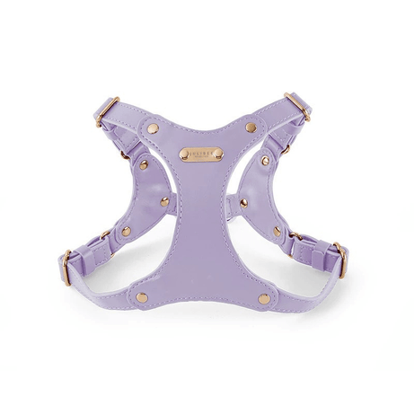 Hoop Vegan Leather Dog Harness Kit Harness Purple