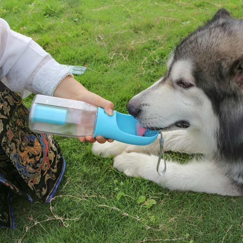 3-in-one Portable Dog Water Bottle