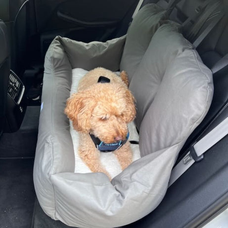 Fluff Dog Car Seat