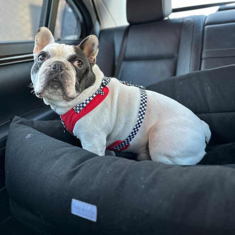 Luxury Large Dog Car Bed