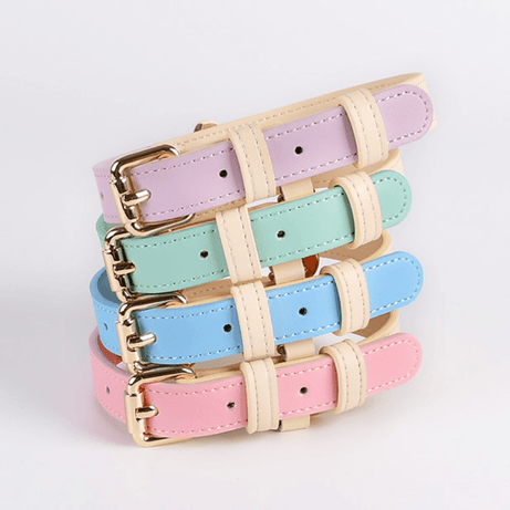 Genuine Leather Dog Collar Kit