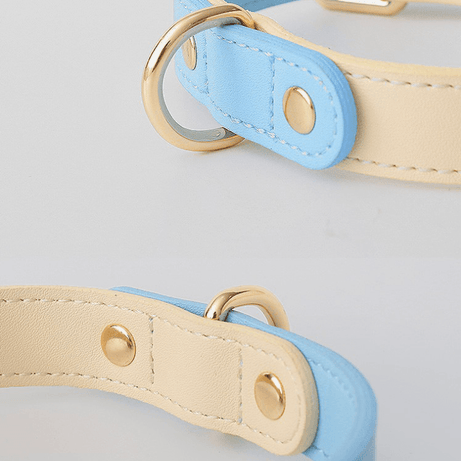 Genuine Leather Dog Collar Kit