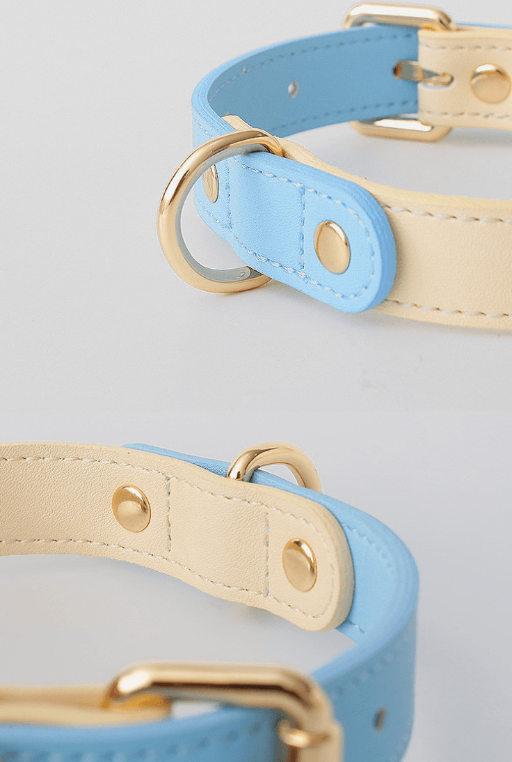 Genuine Leather Dog Collar Kit