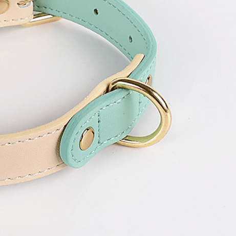 Genuine Leather Dog Collar Kit