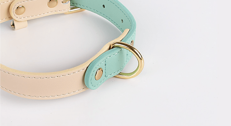 Pet Collar in Tiffany Blue Leather, Medium, Size: 11-14 in.