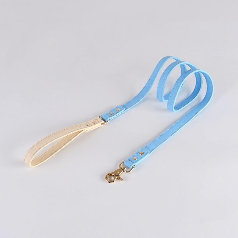 Genuine Leather Dog Collar Kit Leash Blue Standard